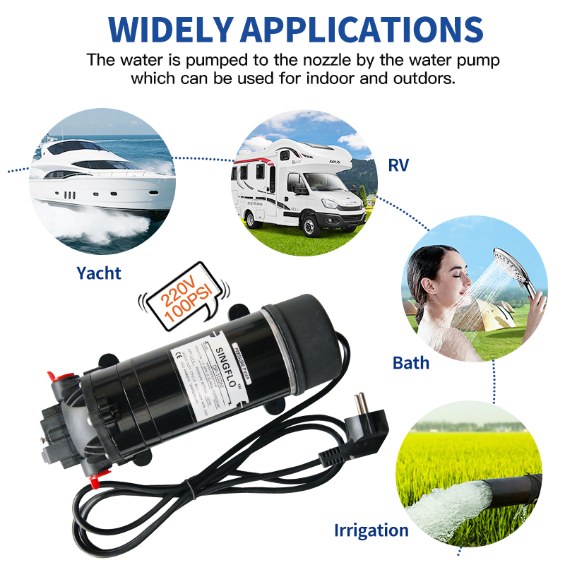 Singflo 220V diaphragm pump